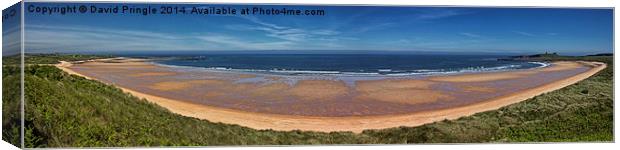 Embleton Bay Panorama Canvas Print by David Pringle