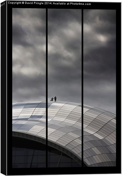 Roof of the Sage Canvas Print by David Pringle