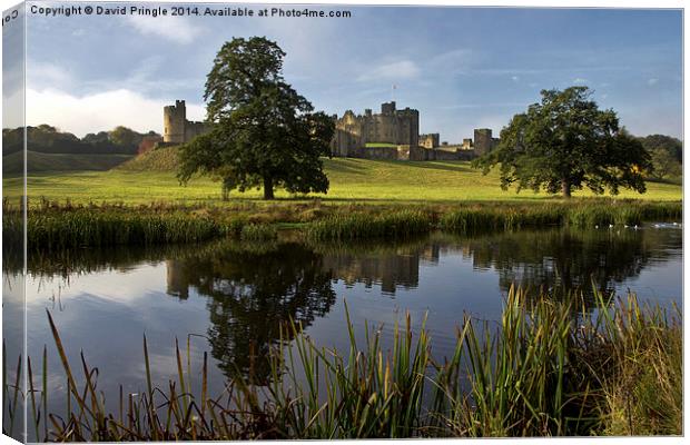 Alnwick Castle Canvas Print by David Pringle