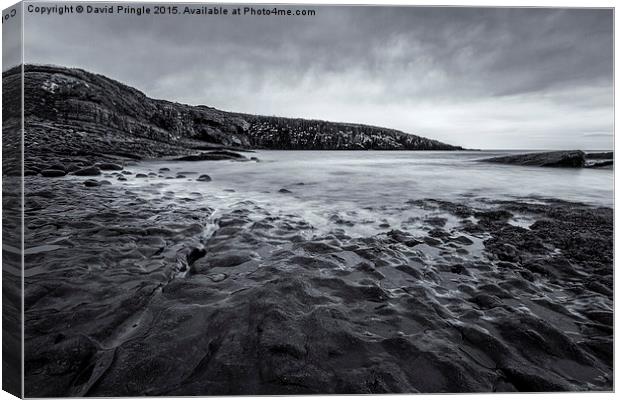 Cullernose Point Canvas Print by David Pringle