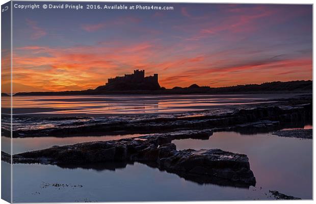 Bamburgh Castle Sunrise Canvas Print by David Pringle