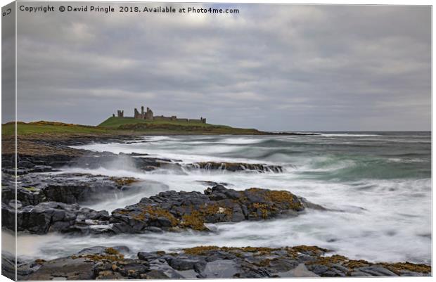 Dunstanburgh Castle Canvas Print by David Pringle