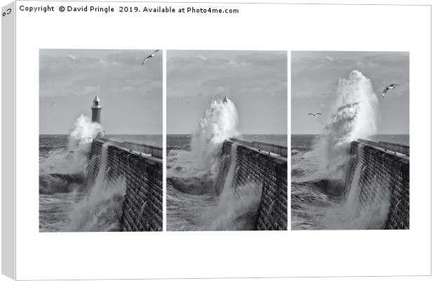 Tynemouth Pier Triptych Canvas Print by David Pringle