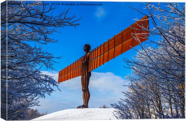 Angel In The Snow Canvas Print by David Pringle