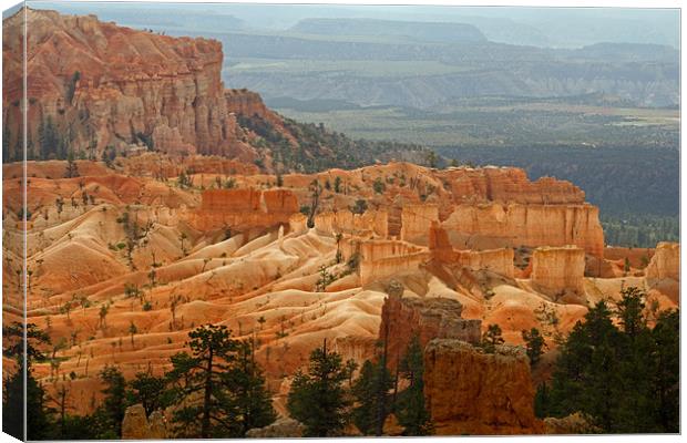 Hoodoos at Bryce Canyon Canvas Print by David Pringle