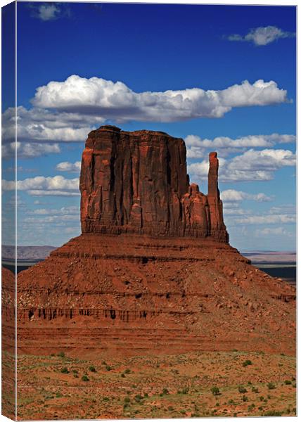 The East Mitten Butte Canvas Print by David Pringle