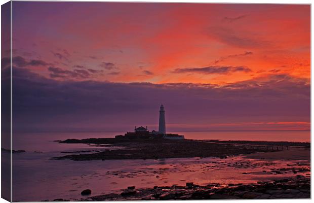 St Marys Lighthouse Sunrise Canvas Print by David Pringle