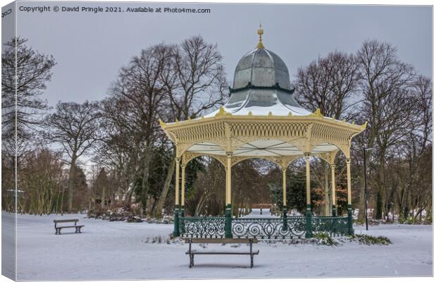 Newcastle Exhibition Park Bandstand Canvas Print by David Pringle