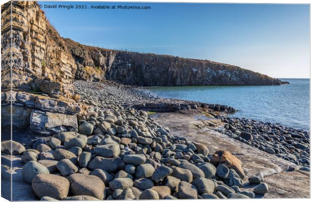 Cullernose Point Canvas Print by David Pringle