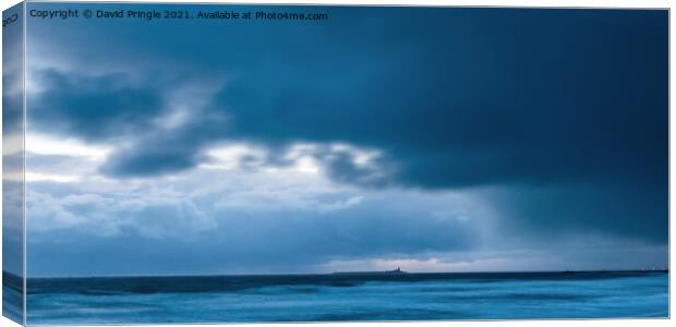 Coquet Island Canvas Print by David Pringle