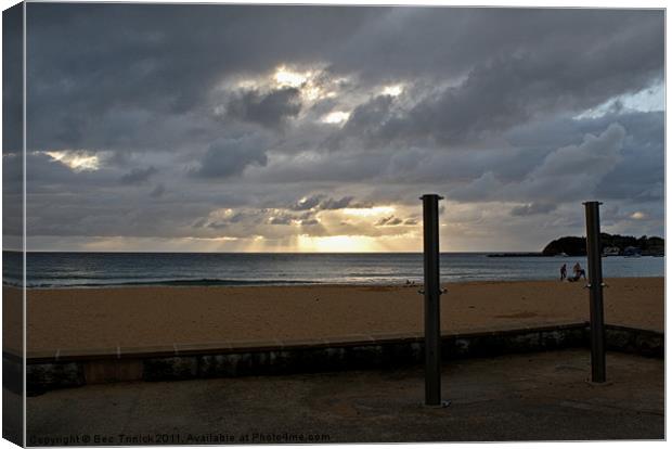 Terrigal morning Canvas Print by Bec Trinick