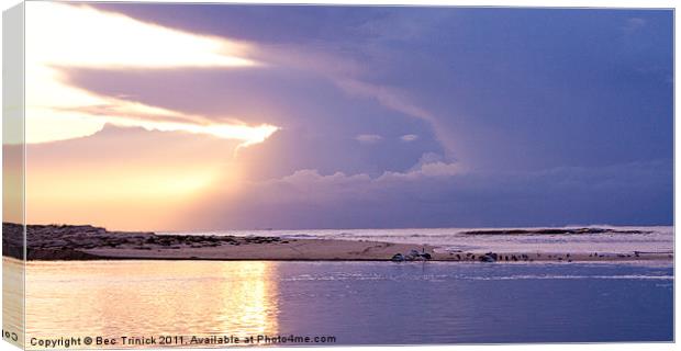 Storm Boys!! Canvas Print by Bec Trinick