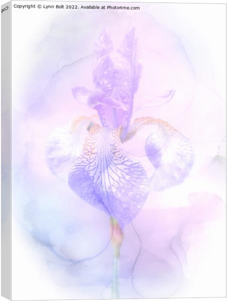 Dreamy Iris Canvas Print by Lynn Bolt