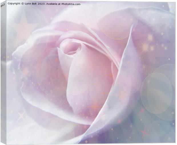 Pink Rose with Stars Canvas Print by Lynn Bolt