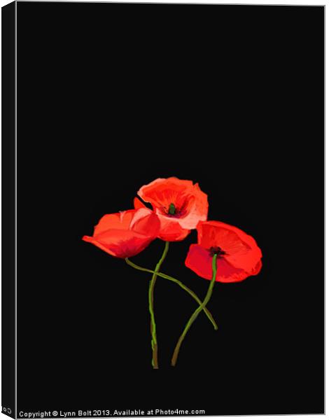 Three Poppies on Black Canvas Print by Lynn Bolt