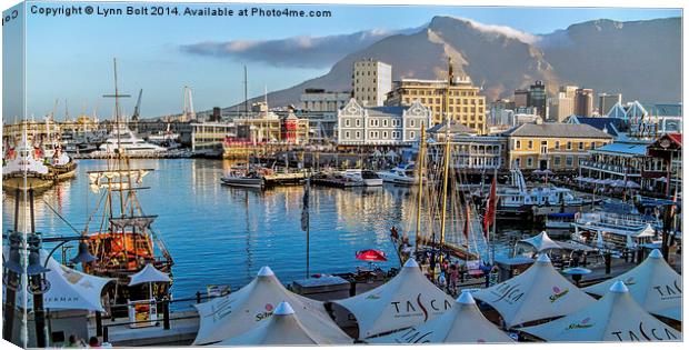 V & A Waterfront Cape Town Canvas Print by Lynn Bolt