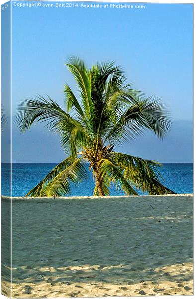  Lone Palm Tree Canvas Print by Lynn Bolt