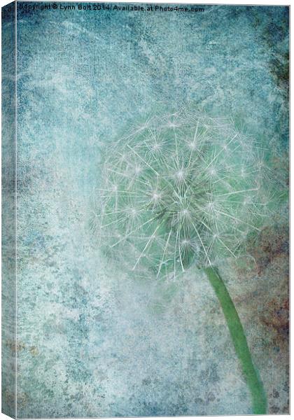  Delicate and Blue Canvas Print by Lynn Bolt