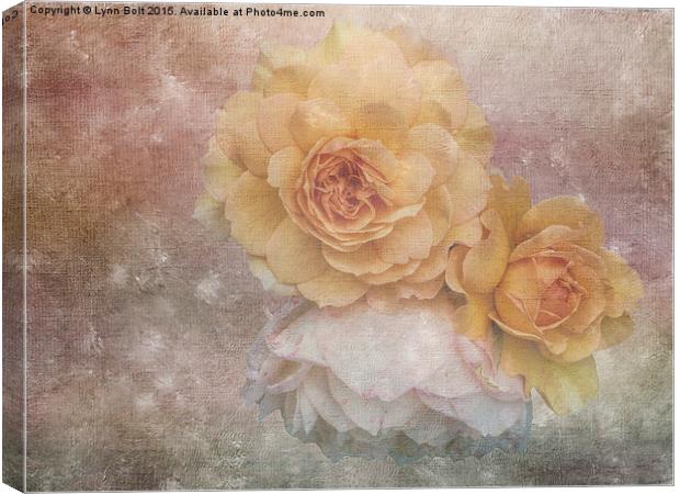  Three Roses Canvas Print by Lynn Bolt