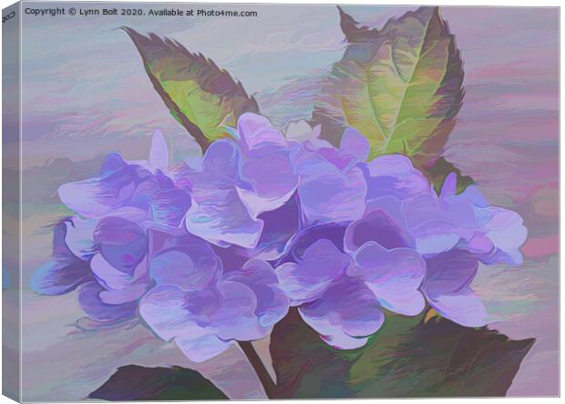 Purple Hydrangea Canvas Print by Lynn Bolt