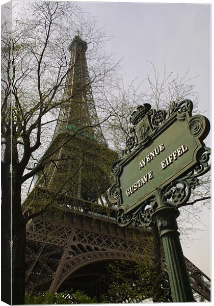 Gustave Eiffel Canvas Print by Steve Brand