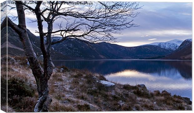 The banks of Loch Muick Canvas Print by alan bain