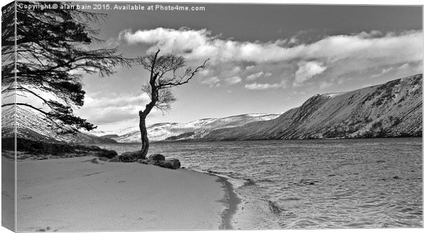  Winter shores of Loch Muick Canvas Print by alan bain