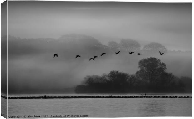 Geese at dawn over the misty Loch of Skene Canvas Print by alan bain