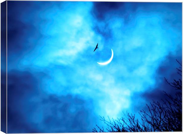  Solar Eclipse 2015 Canvas Print by Simone Williams