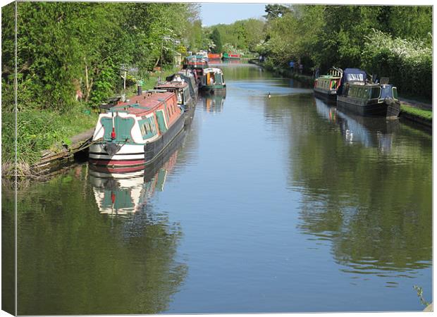 View from a Bridge Canvas Print by Clare Dewhirst