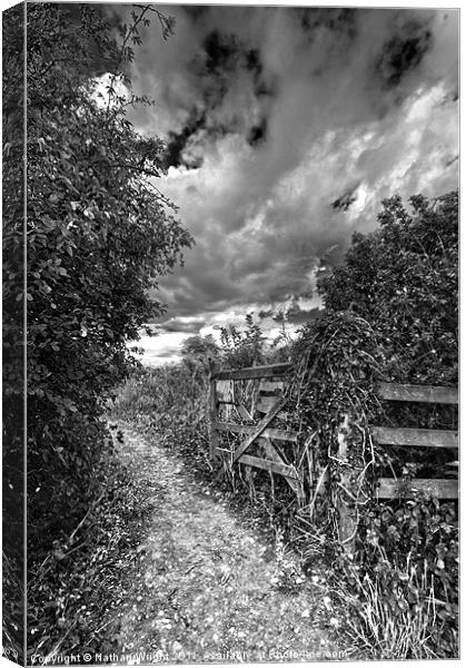 Black and white gate Canvas Print by Nathan Wright
