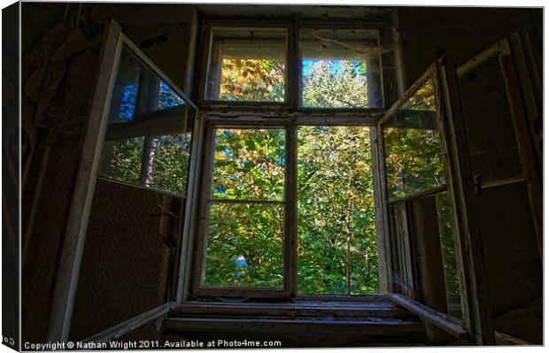 Open urbex window Canvas Print by Nathan Wright