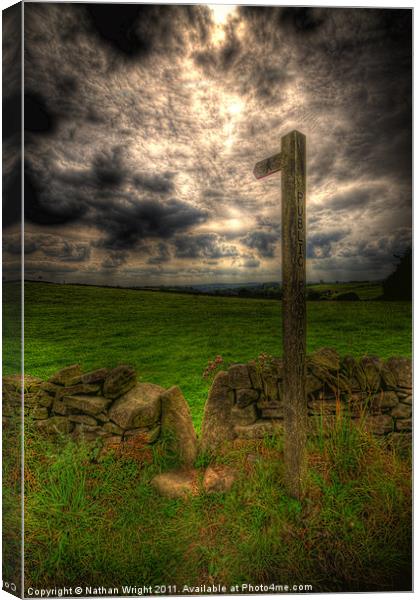The dales path. Canvas Print by Nathan Wright