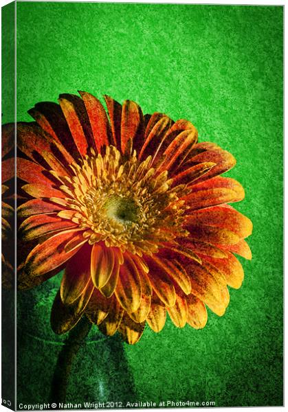 Texture Flower Canvas Print by Nathan Wright
