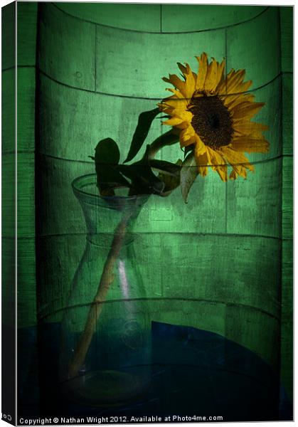 Stone sun flower Canvas Print by Nathan Wright