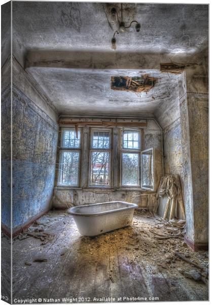 Lunatic bath time Canvas Print by Nathan Wright