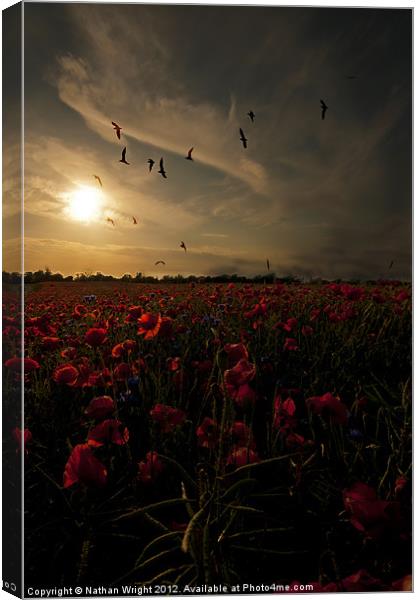 Red wild sunset Canvas Print by Nathan Wright