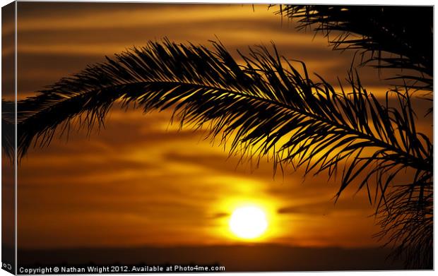 Palm sunset Canvas Print by Nathan Wright