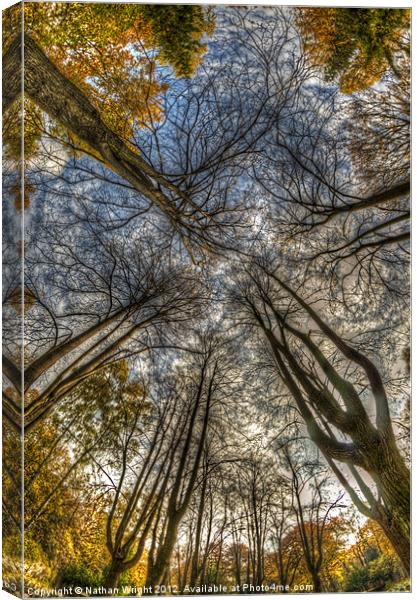 Tuning fork trees Canvas Print by Nathan Wright