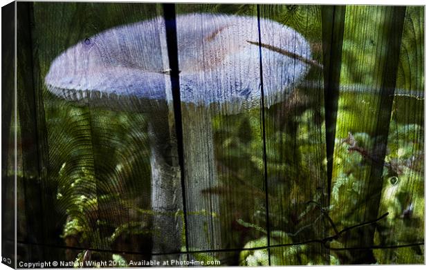 Destroying angel Canvas Print by Nathan Wright