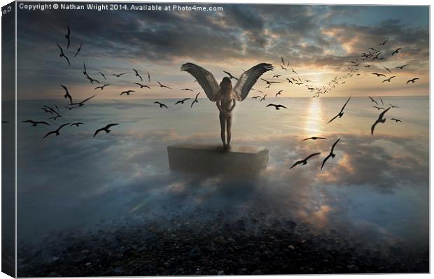 Birds of freedom  Canvas Print by Nathan Wright