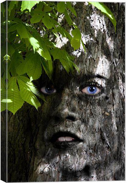 Tree woman Canvas Print by Nathan Wright