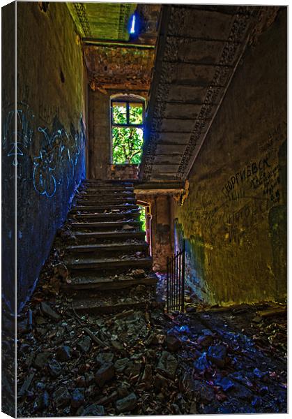 Ruined Stairs. Canvas Print by Nathan Wright