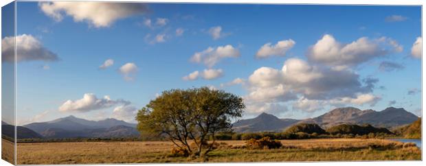 From Yr Wyddfa to Moelwyn Bach Panoramic Canvas Print by Rory Trappe