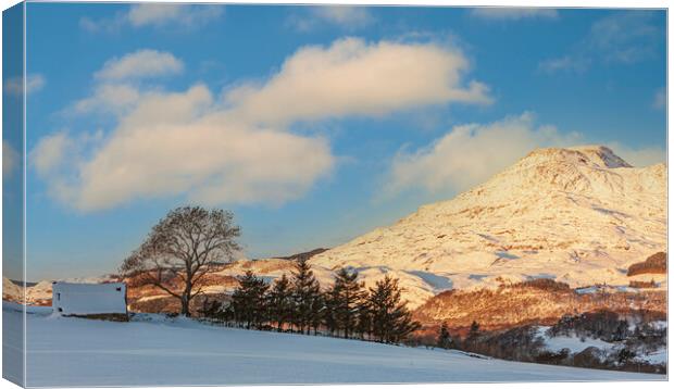 Snow at Ffestiniog Canvas Print by Rory Trappe