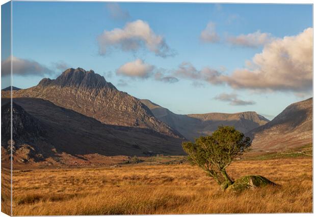 Tryfan Canvas Print by Rory Trappe