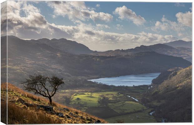 Llyn Gwynant Canvas Print by Rory Trappe