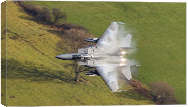 RAF Lakenheath F-15 E in the weeds Canvas Print by Rory Trappe