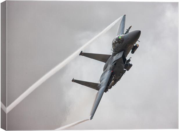 F15-Eagle Canvas Print by Rory Trappe