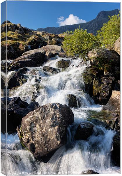 Afon Idwal Canvas Print by Rory Trappe